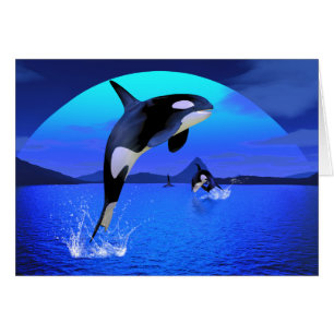 Orca-Karte