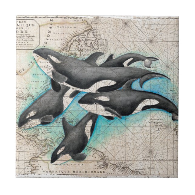 Orca-Kartenatlas Fliese (Vorderseite)