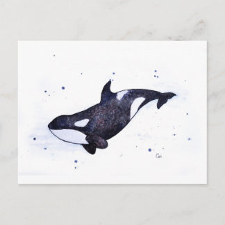 Orca Killer-Waldarstellung Postkarte