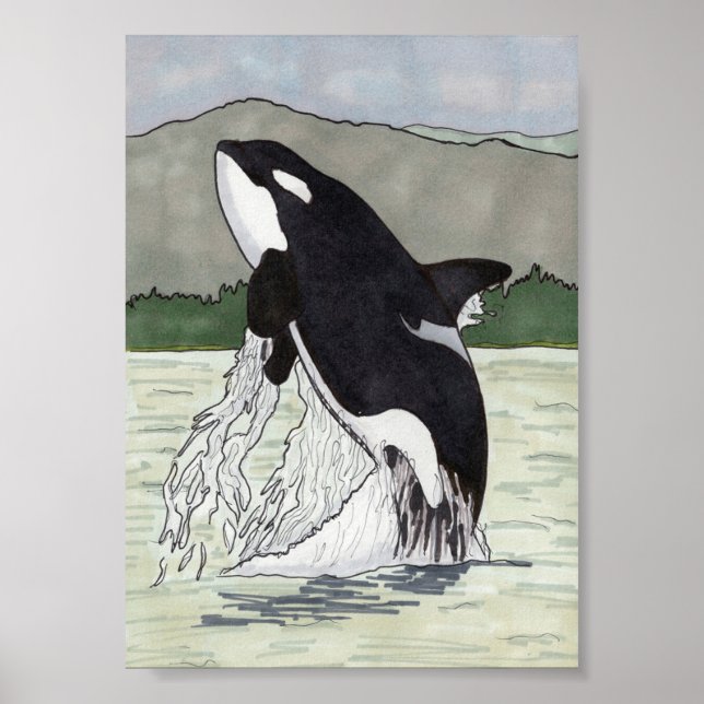 Orca/Killer Whale 12x18 Poster (Vorne)