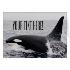 Orca Killer Whale Breaching Surface Custom Text