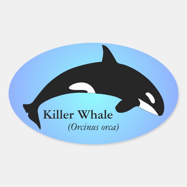 Orca Killer Whale Gradient Blue Ovaler Aufkleber (Vorderseite)