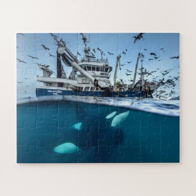 Orca Killer Whale Kommerzielle Fischerboote Puzzle (Horizontal)