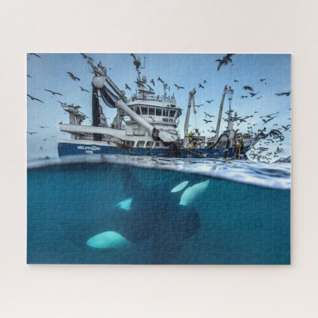 Orca Killer Whale Kommerzielle Fischerboote Puzzle (Horizontal)