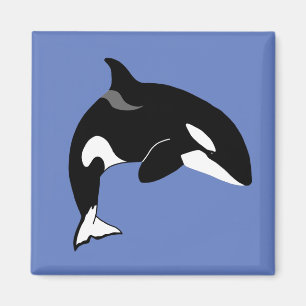 Orca Killer Whale Magnet