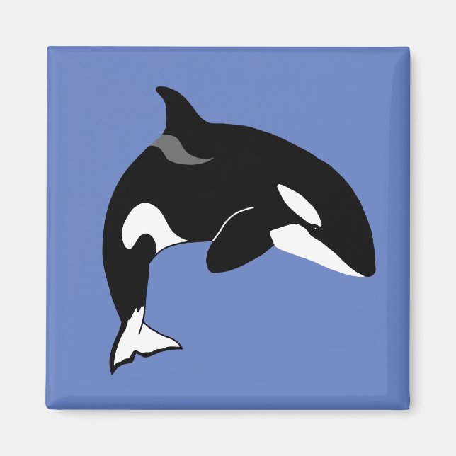 Orca Killer Whale Magnet (Vorne)