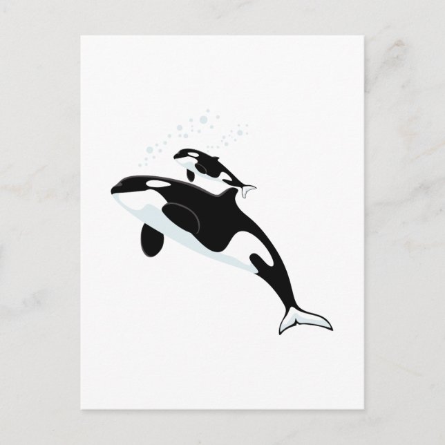 Orca Killer Whale Postkarte (Vorderseite)