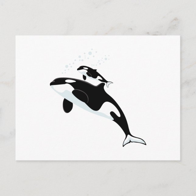 Orca Killer Whale Postkarte (Vorderseite)