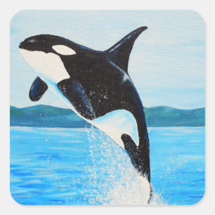 Orca Painting Quadratischer Aufkleber