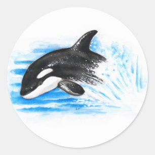Orca Playing Runder Aufkleber