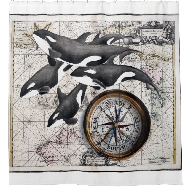 Orca-Pod Duschvorhang (Vorderseite)