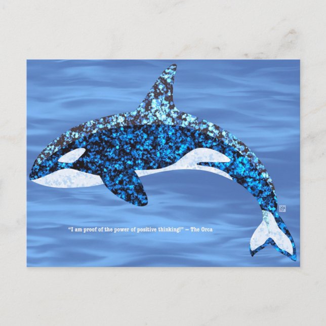 Orca Positive Denken Postkarten (Vorderseite)