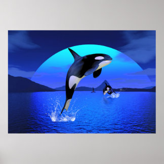 Orca Poster
