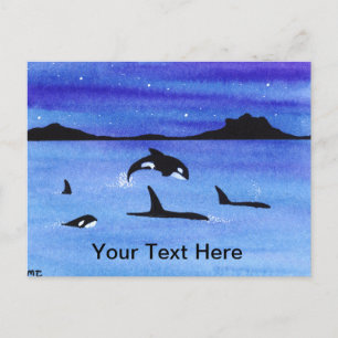 Orca Postkarte