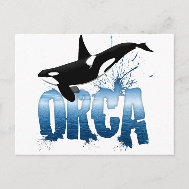 Orca Postkarte (Vorderseite)