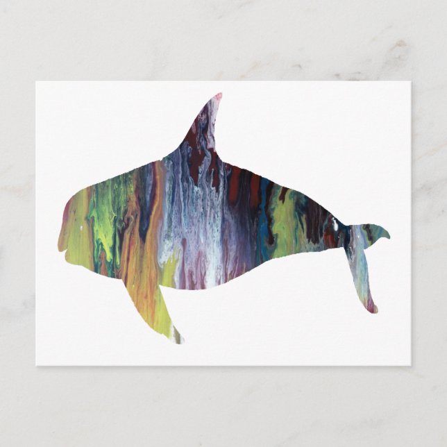 Orca Postkarte (Vorderseite)