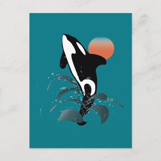 Orca Postkarte (Vorderseite)