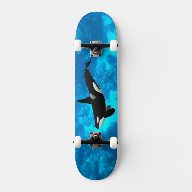Orca Skateboard (Vorderseite)