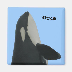Orca Spyhop Magnet