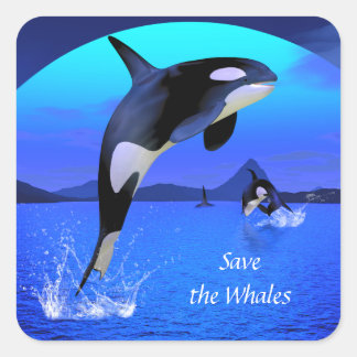 Orca Sticker