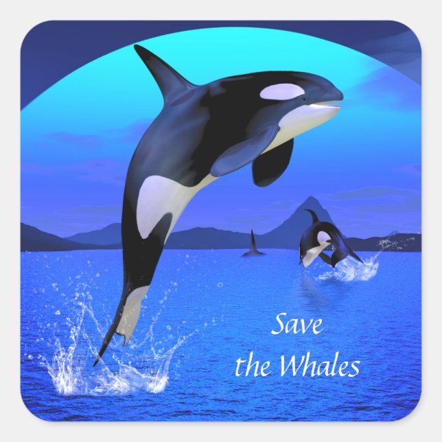Orca Sticker (Vorderseite)