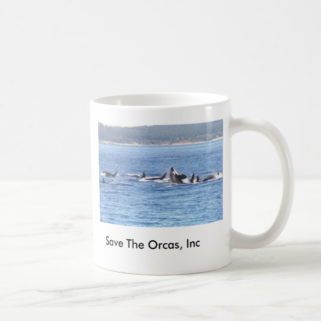 Orca Superpod Kaffee-Tasse Kaffeetasse (Rechts)