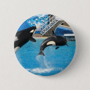 Orca-Wal-Button Button