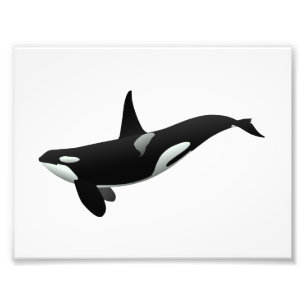 Orca Wal Illustration - Hintergrundfarbe auswählen Fotodruck