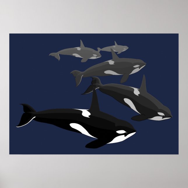 Orca Whale Art Poster Killer Whale Art Prints Gesc (Vorne)