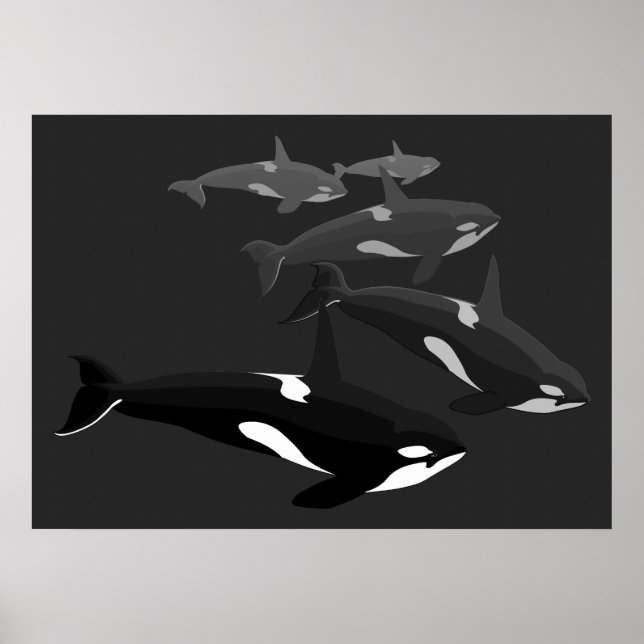 Orca Whale Art Poster Killer Whale gedruckte Leinw (Vorne)