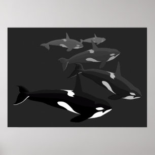 Orca Whale Art Poster Killer Whale Printed Canvas