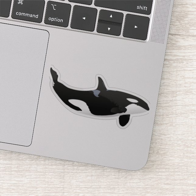Orca Whale Aufkleber (Detail)