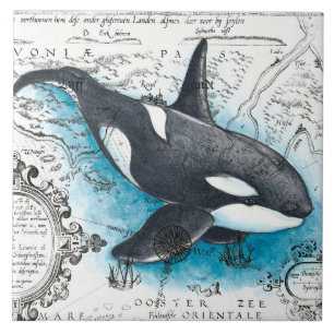 Orca Whale Blue Watercolor Schöne Karte Fliese