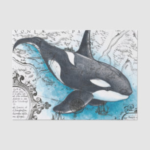 Orca Whale Blue Watercolor Schöne Karte Seidenpapier