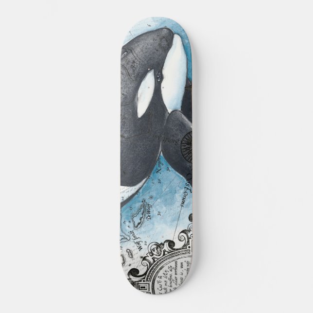 Orca Whale Blue Watercolor Schöne Karte Skateboard (Vorderseite)