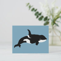 Orca Whale Illustration Cetacea