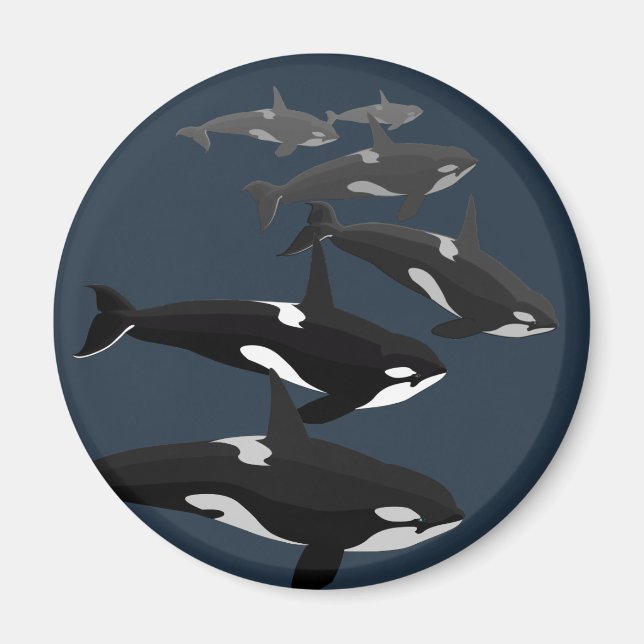 Orca Whale Kühlschrankmagnet Killer Whale Art Magn Magnet (Vorne)
