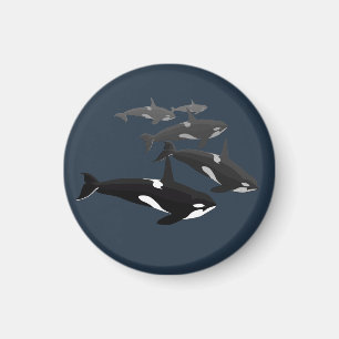 Orca Whale Kühlschrankmagnet Killer Whale Art Magn Magnet