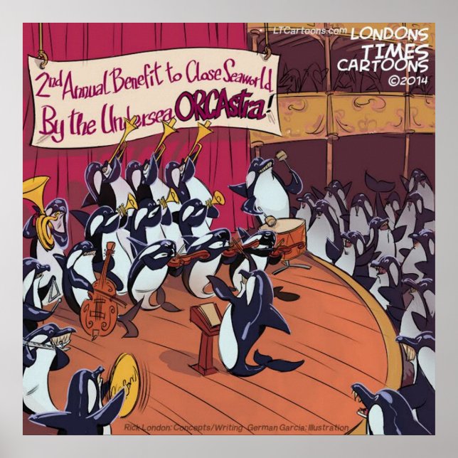 Orca Whale Orchestra Funny Poster (Vorne)