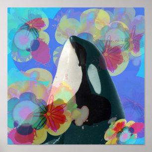 Orca Whale Spy Hop Multicolor Graphic-I SEHEN Sie Poster