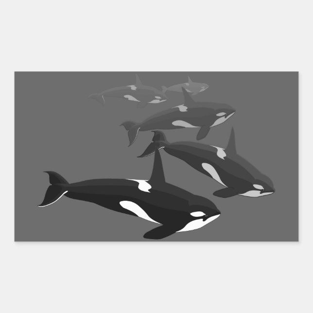 Orca Whale Stickers Killer Whale Art Stickers (Vorderseite)