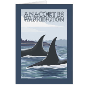 Orca Whales #1 - Anacort, Washington