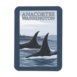 Orca Whales #1 - Anacort, Washington Magnet