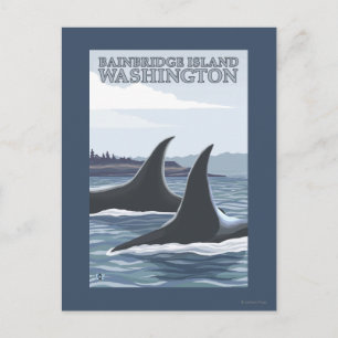 Orca Whales #1 - Bainbridge Island, Washington Postkarte