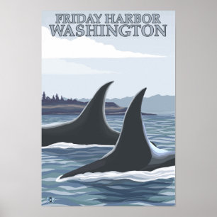 Orca Whales #1 - Freitag Harbour, Washington Poster