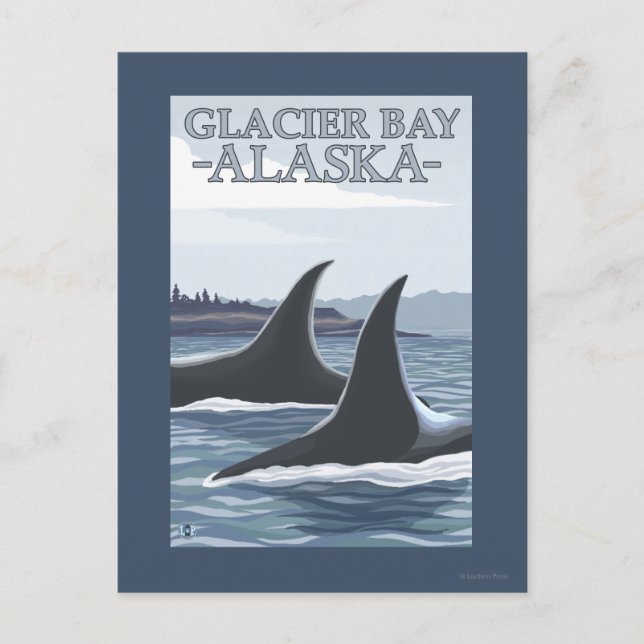 Orca Whales #1 - Glacier Bay, Alaska Postkarte (Vorderseite)