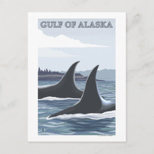 Orca Whales #1 - Golf von Alaska Postkarte