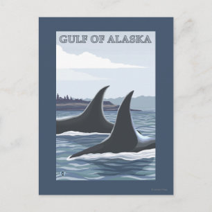 Orca Whales #1 - Golf von Alaska Postkarte