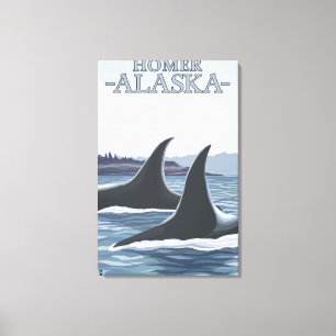 Orca Whales #1 - Homer, Alaska Leinwanddruck