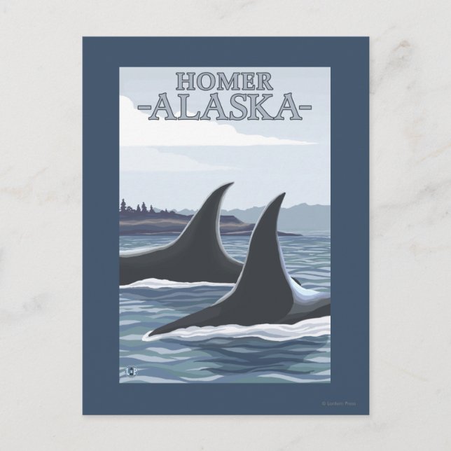 Orca Whales #1 - Homer, Alaska Postkarte (Vorderseite)